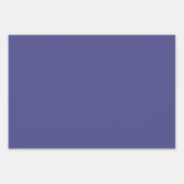 Elegant diep paarse-grijs Minimalistisch en chic Inpakpapier Vel (Voorkant 3)