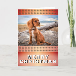 Elegant Dog Pet Foto Golden Snowflakes kerst Feestdagen Kaart
