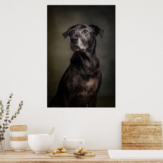 Elegant Dog Silhouette Poster (Keuken)