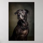 Elegant Dog Silhouette Poster (Voorkant)
