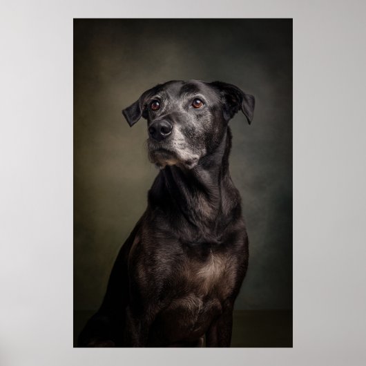 Elegant Dog Silhouette Poster (Voorkant)