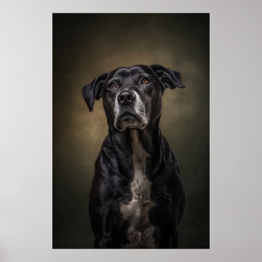 Elegant Dog Silhouette Poster (Voorkant)