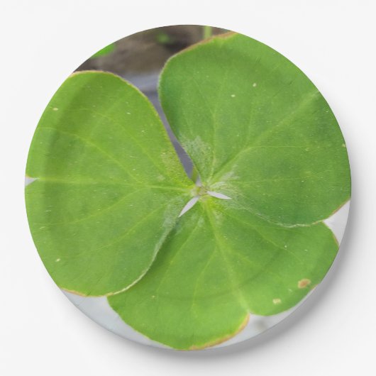 Elegant drie-blad ontwerp 9-inch rond papieren bordje (Voorkant)