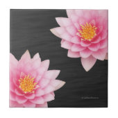 Elegant drijvende roze Lotus Flowers Tegeltje (Voorkant)