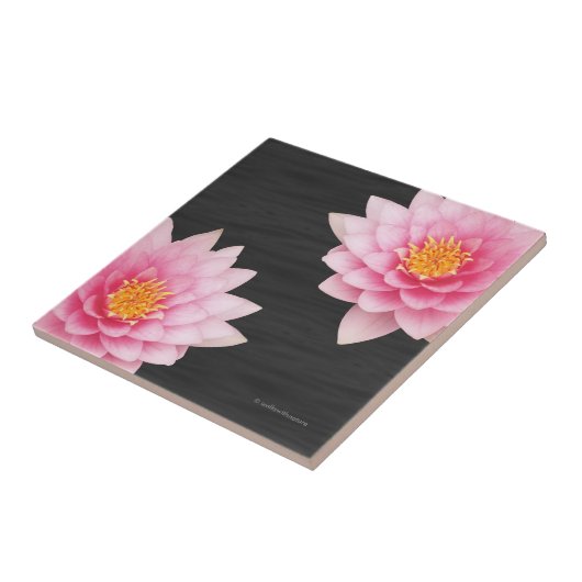 Elegant drijvende roze Lotus Flowers Tegeltje (Zijkant)