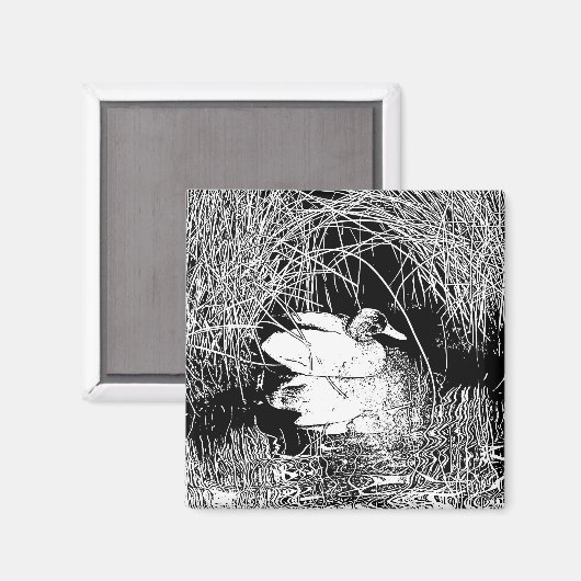 Elegant Duck in Reeds Black en White Natuur Magneet (Voorkant / Achterkant)