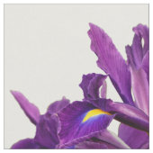 Elegant Dutch Iris Paars Sensation Stof (Close Up)