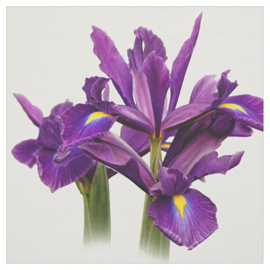 Elegant Dutch Iris Paars Sensation Stof (Swatch)