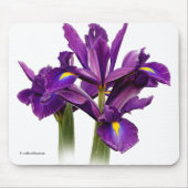 Elegant Dutch Iris Paarse Sensation Flowers Muismat (Voorkant)