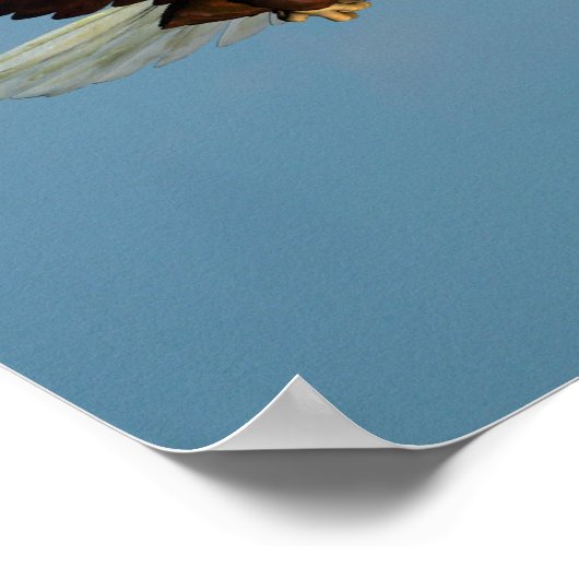 Elegant Elephant Eagle Poster (Hoek)