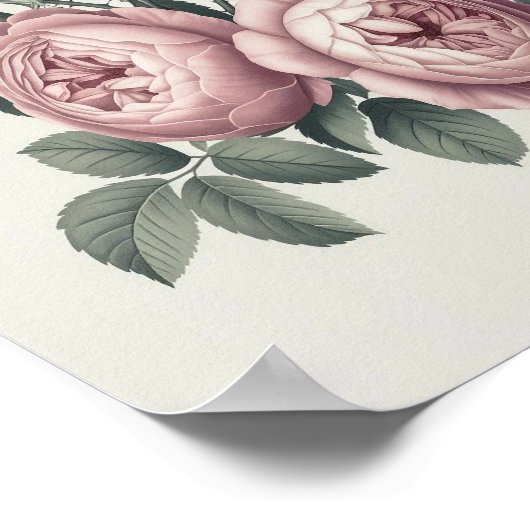 Elegant  Engels Blooming Roos Poster (Hoek)