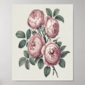 Elegant Engels Blooming Roos Poster (Voorkant)