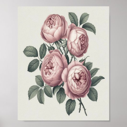 Elegant  Engels Blooming Roos Poster (Voorkant)