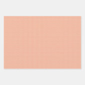 Elegant Engels Shabby Chic Floral Art Pattern Inpakpapier Vel (Voorkant 2)