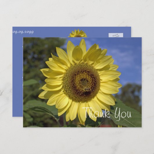 Elegant, felle zonnebloem met zonnebloem briefkaart (Voorkant / Achterkant)