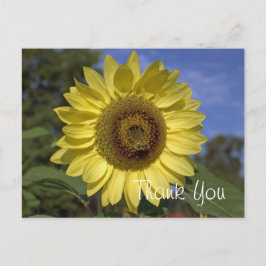 Elegant, felle zonnebloem met zonnebloem briefkaart
