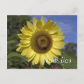 Elegant, felle zonnebloem met zonnebloem briefkaart (Voorkant)