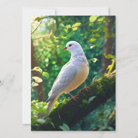 "Elegant Flat Kaart" "Classic Flat Stationery" (Achterkant)