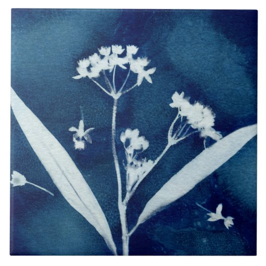 Elegant floraal kroonklokkencyanotype tegeltje (Voorkant)