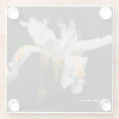 Elegant Floral Crested Shaga Japans Iris Glazen Onderzetter (Achterkant)