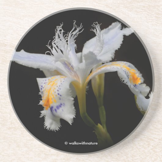 Elegant Floral Crested Shaga Japans Iris Zandsteen Onderzetter (Voorkant)