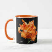 Elegant Floral Double Sinaasappel Daylily Mok (Links)
