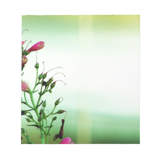 Elegant Floral fotografie Notitieblok (Voorkant)