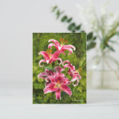 Elegant Floral Medley van Stargazer Oriental Lilie Briefkaart (Staand voorkant)