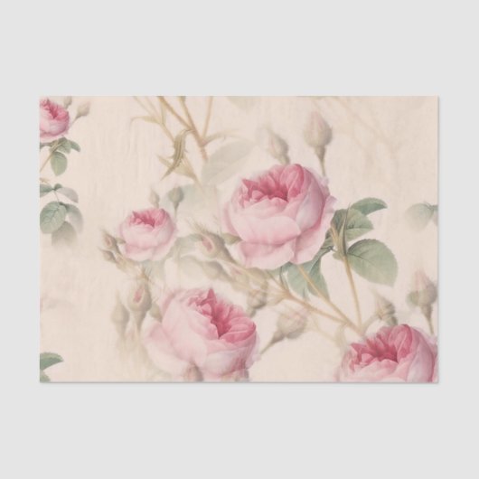 Elegant Floral Pattern of Pink Roses Tissuepapier (Voorkant)