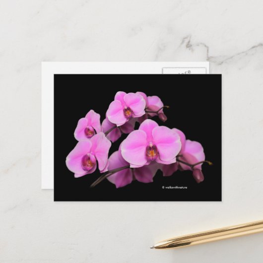 Elegant Floral Pink Orchids Phalaenopsis Black Briefkaart (Voorkant / Achterkant in situ)