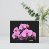 Elegant Floral Pink Orchids Phalaenopsis Black Briefkaart (Staand voorkant)