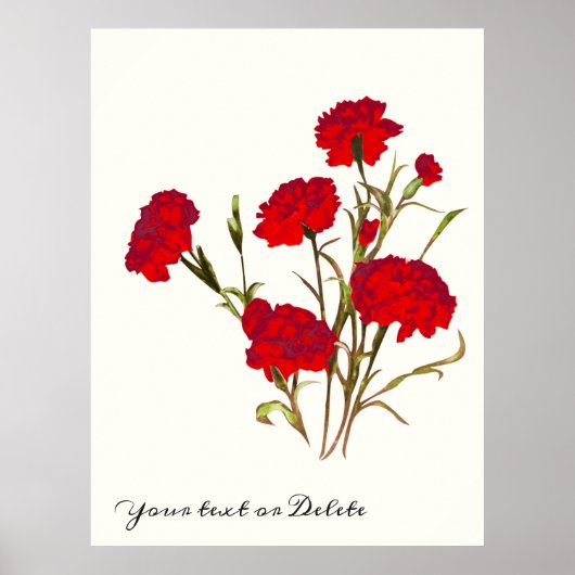 Elegant Floral Red Carnance Poster (Voorkant)