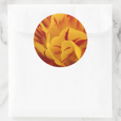 Elegant Floral Red en Gold Monsella Tulips Ronde Sticker (Tas)