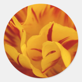 Elegant Floral Red en Gold Monsella Tulips Ronde Sticker