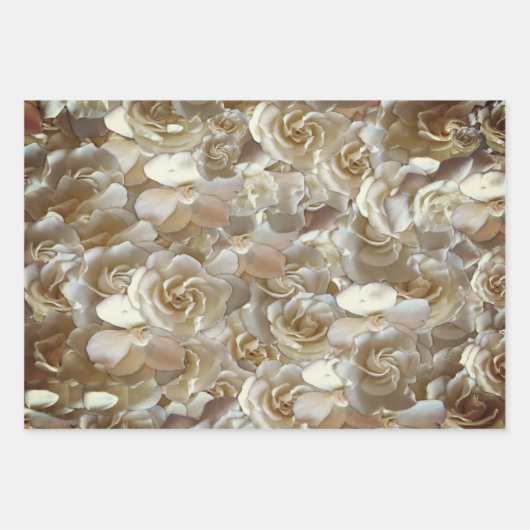 Elegant Floral Roos Petal Pattern Inpakpapier Vel (Voorkant)