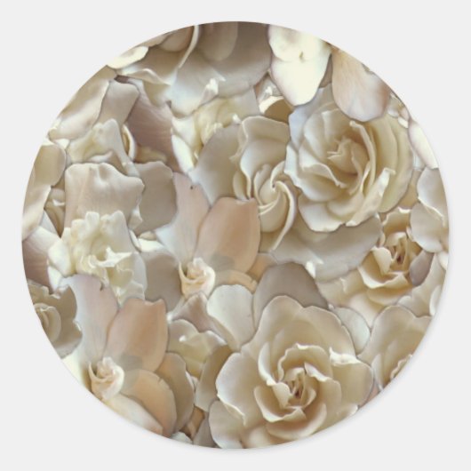 Elegant Floral Roos Petal Pattern Ronde Sticker (Voorkant)