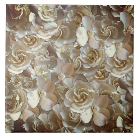 Elegant Floral Roos Petal Pattern Tegeltje (Voorkant)