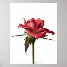 Elegant Floral Roos Poster