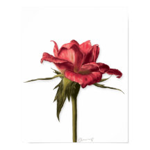 Elegant Floral Roos Poster