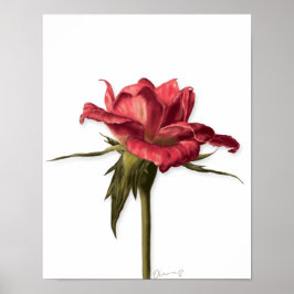 Elegant Floral Roos Poster