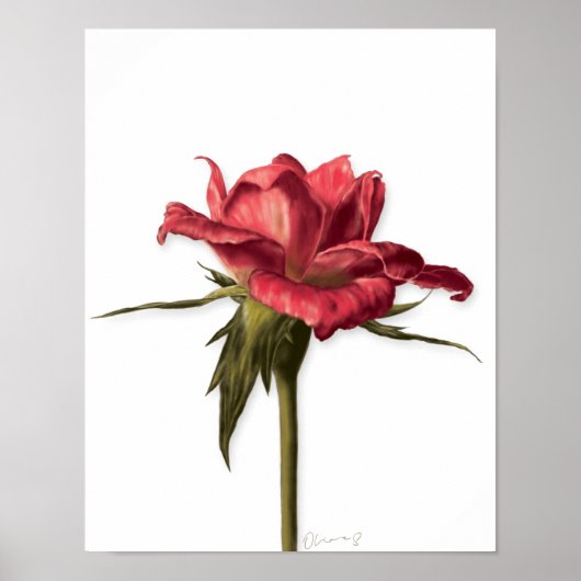 Elegant Floral Roos Poster (Voorkant)