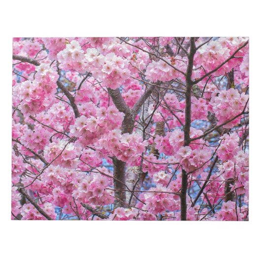 Elegant Floral Stationery Design Notitieblok (Voorkant)