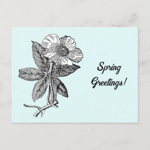 Elegant Flower Pencil Sketch Natuur Art Briefkaart