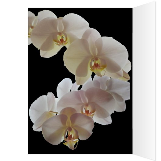 ELEGANT FLOWER VALENTIJN card (Binnen (Links))