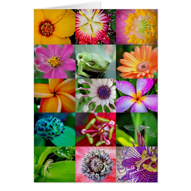 Elegant Flowers en Creatures Floral Pattern (Voorkant)