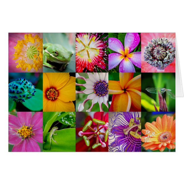 Elegant Flowers en Creatures Floral Pattern (Voorkant Horizontaal)