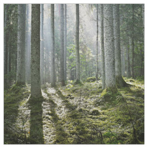 Elegant Forest Morascène Stof