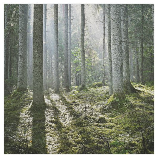 Elegant Forest Morascène Stof (Swatch)