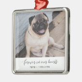 Elegant Forever in ons hart Pet Memorial Metalen Ornament (Links)