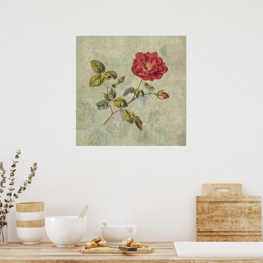 Elegant  Frans Roos Poster (Keuken)